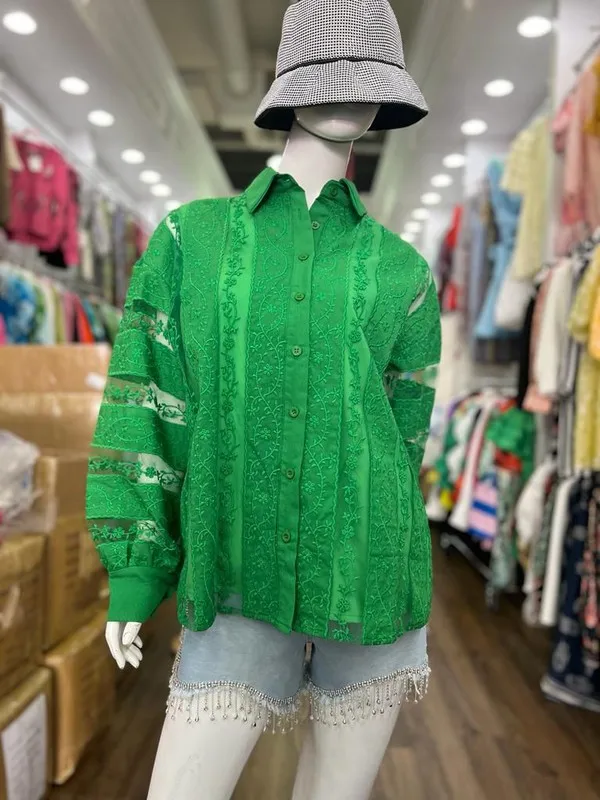 Women's Button-down Blouse With Sheer Lace Panel & Long Puff Sleeves Casual Outings Perfect Shirt