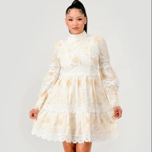 Vintage Ladies' Lace Short Dress 100% Embroidered Cotton Fabric Natural Waistline Woven Weaving Method Button Decoration